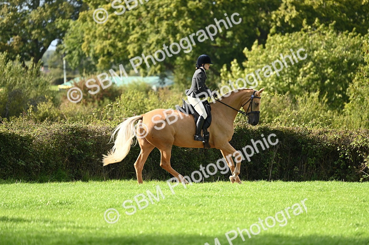 SBM_26410 - S6 - Novice & newcomer Ridden horse