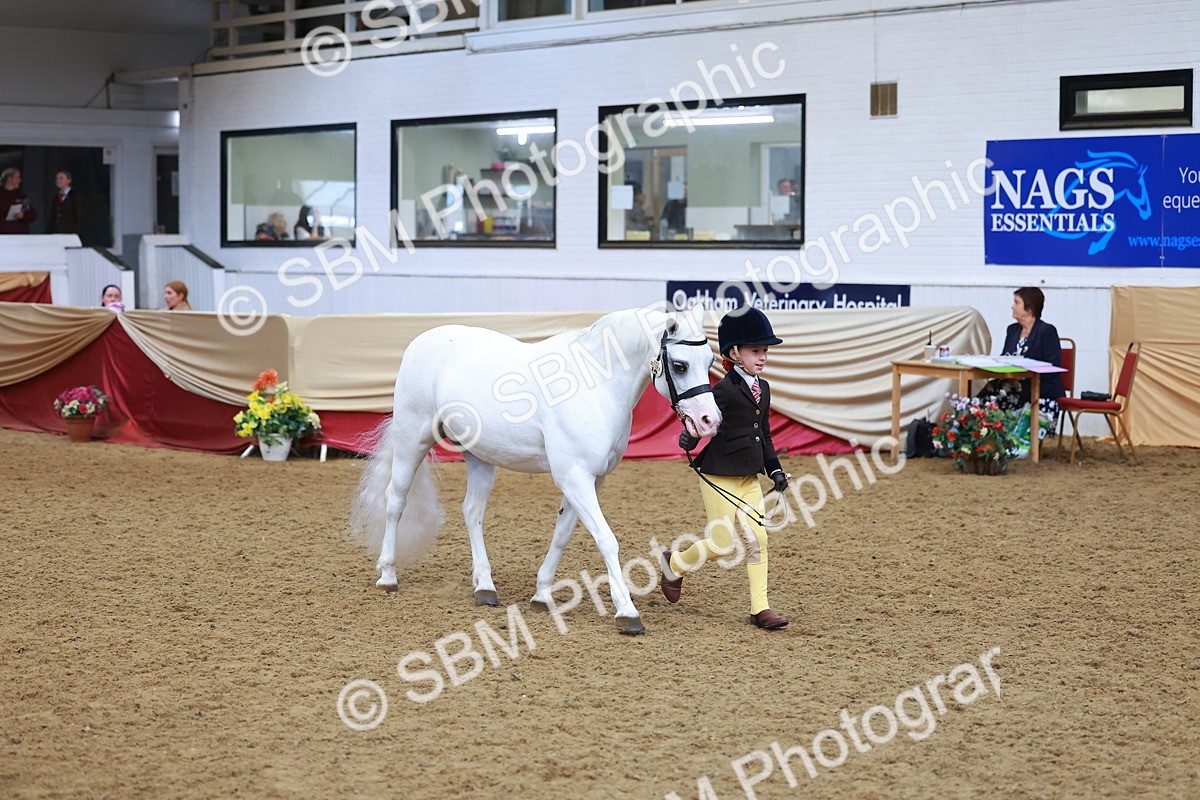 SBM_10730 - Class 103 - HOYS Veteran Qualifier - Ridden Pre Vet