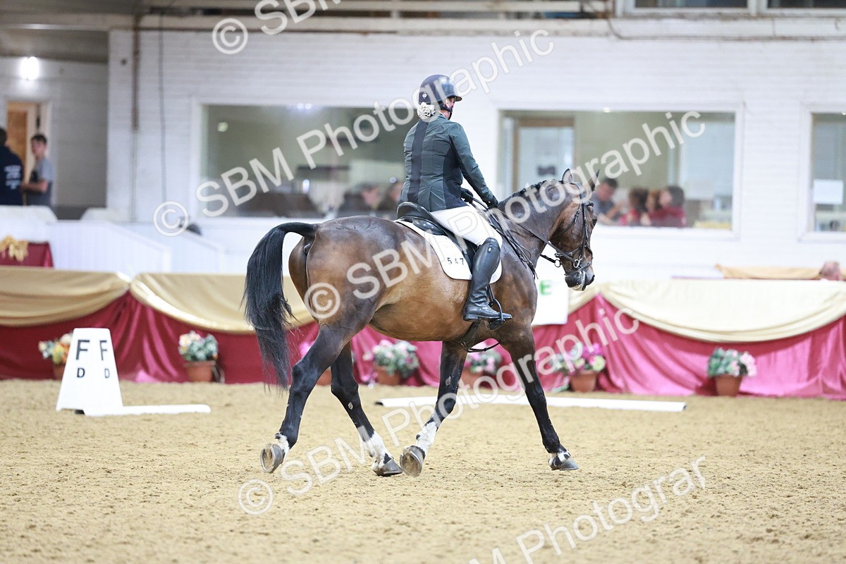 SBM_09818 - Class 61 - Dressage to Music