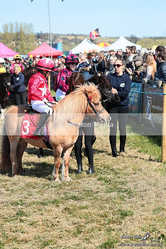 Shet 060426 65 - Shetland Pony Racing Paxford Races Easter Mon 06/04/26