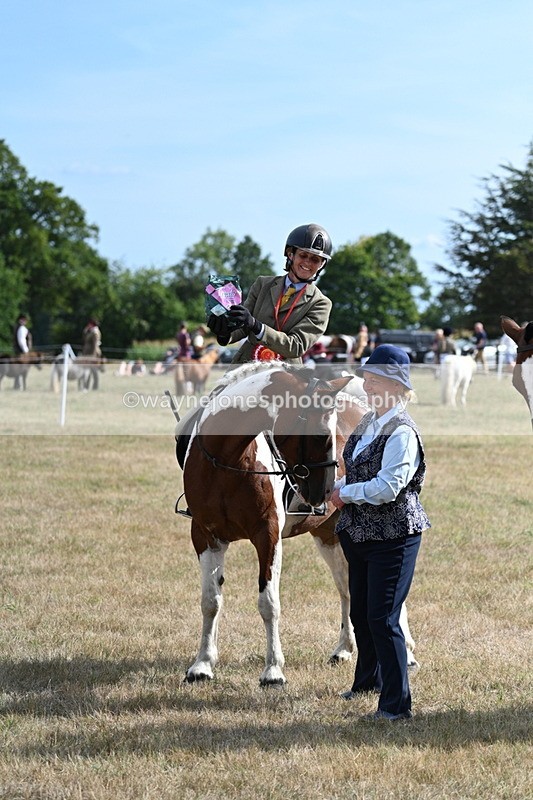 WJ7_7382 - Class 14 Ridden Coloured