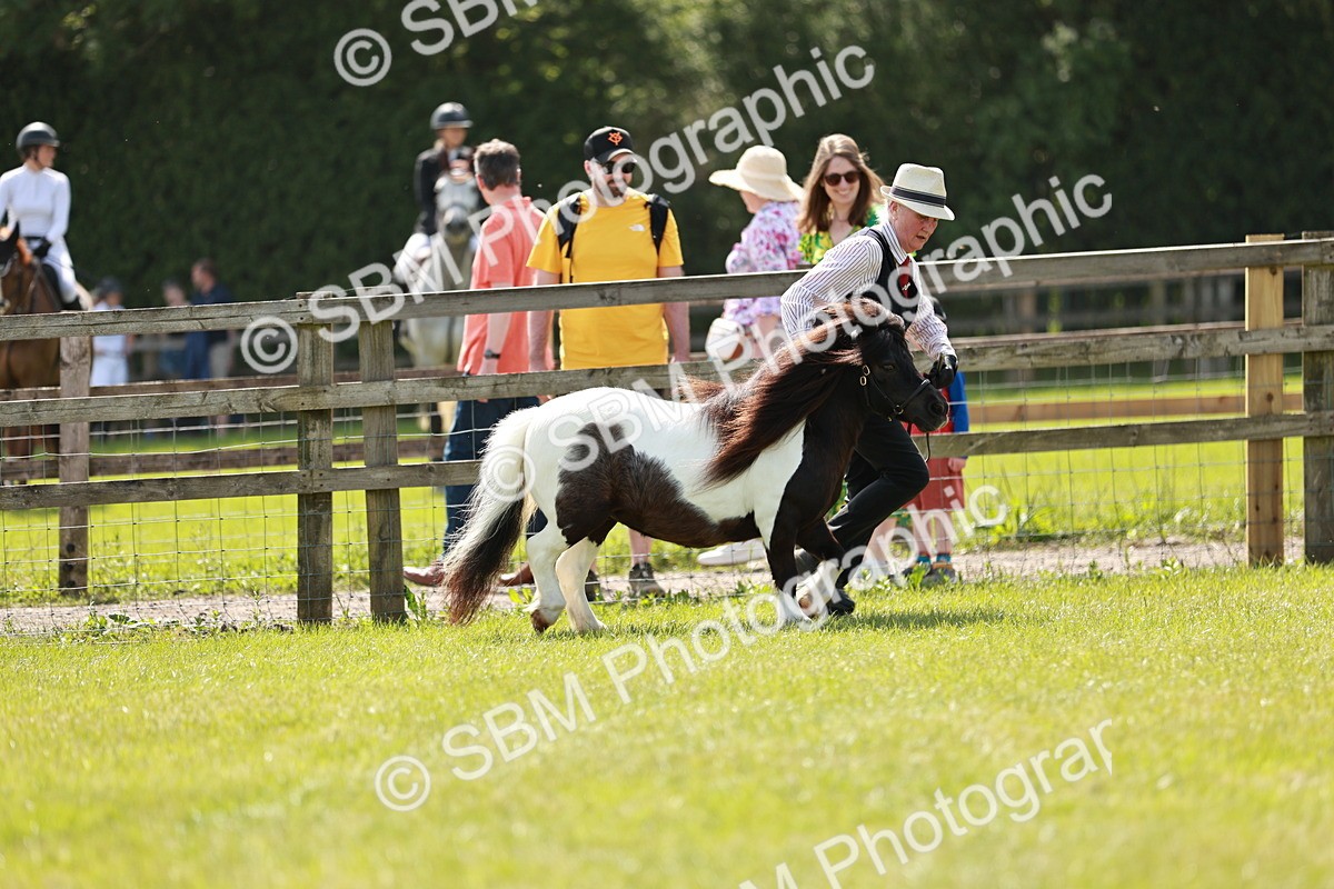 SBM_02497 - Class 14-23 - Mountain & Moorland In Hand Non Welsh