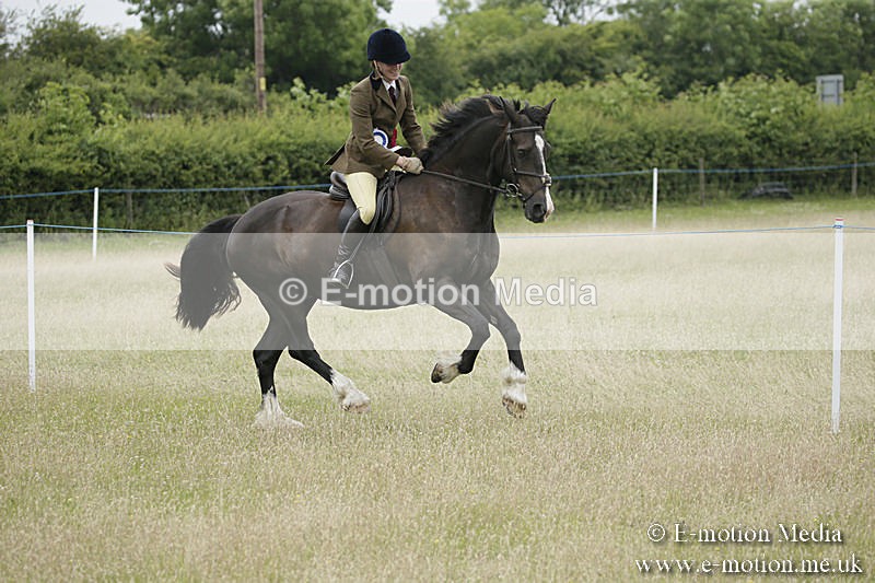 B230619-0756 - Bourne Valley Riding Club Summer Show 23/06/19