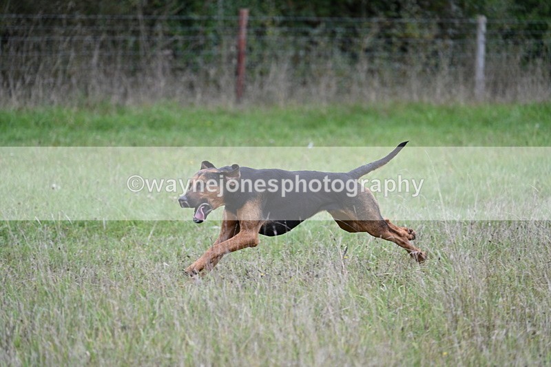 WJ7_3538 - Camera 1 Line 1