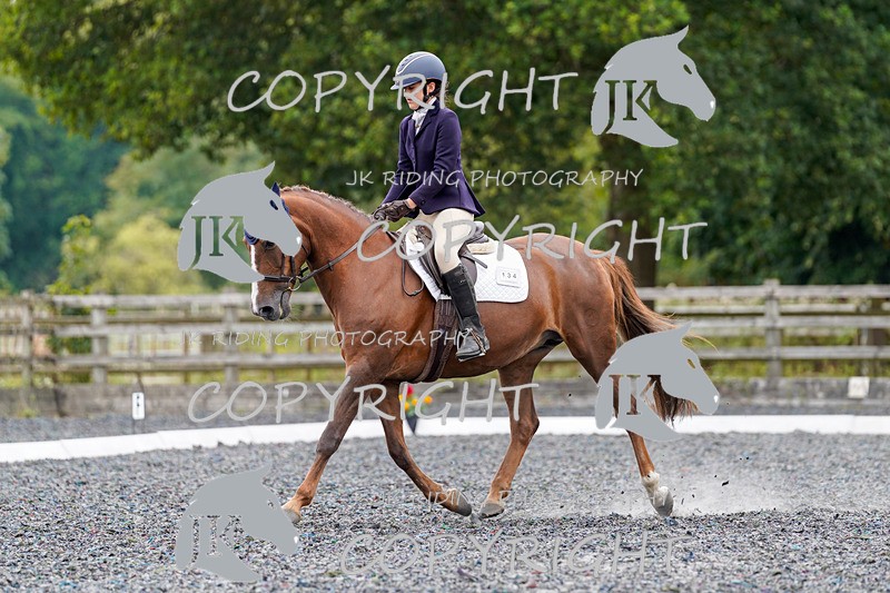 _DSC1919 - NOVICE 2