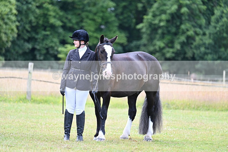 WJ7_7148 - Class 5a Most Handsome Gelding in Hand