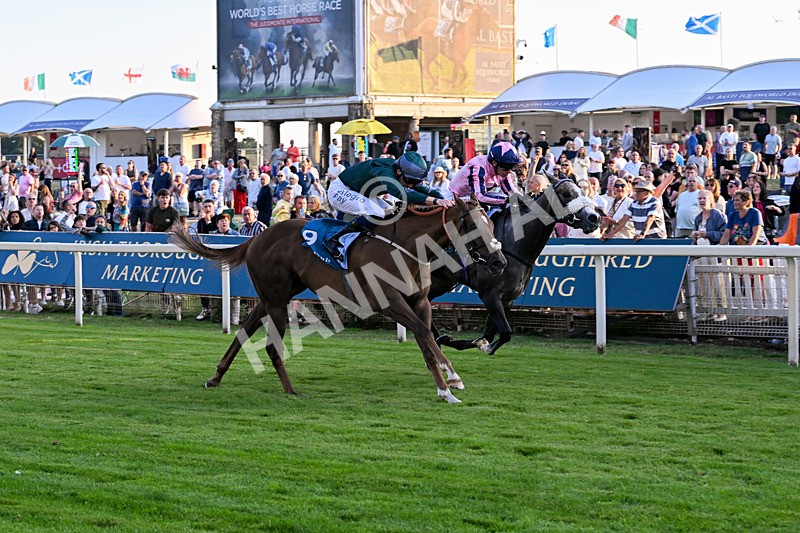 240726-Race 6-Explosive Finnish-5610 - Race 6 20.25pm Sky Bet Go-Racing-In-Yorkshire Summer Festival Handicap