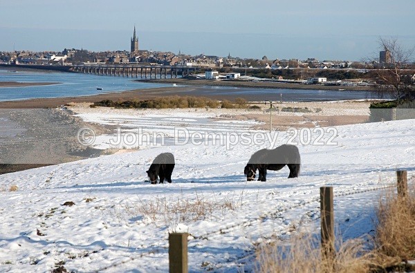 11 - Montrose In Winter