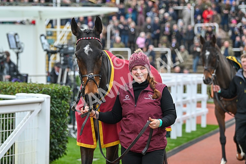 161124-Race 2-Paddock-The Newest One-9304 - Race 2