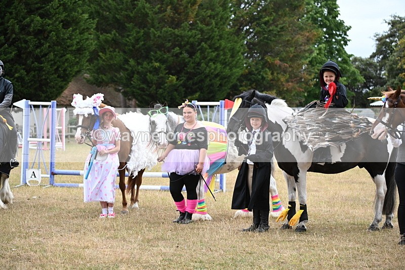 WJ6_9241 - Class 11 Fancy Dress