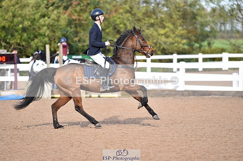 231028A-110100-00661 - Cls 2 British Novice & 80cm Open