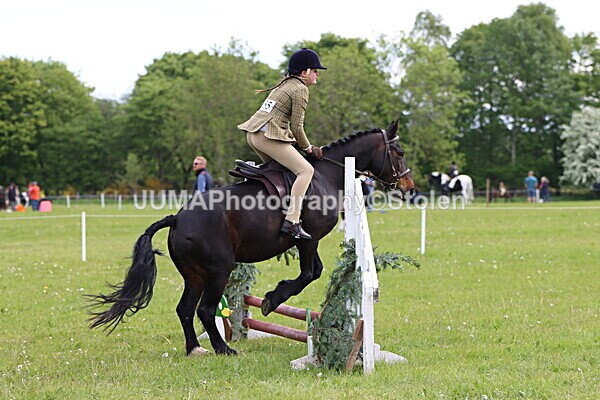 IMG_2480 - Working Hunter