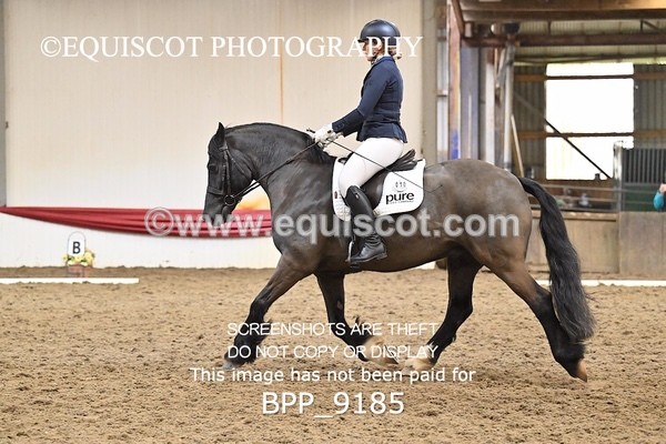 BPP_9185 - ELEM 4