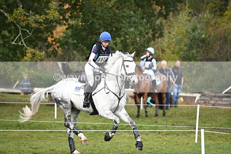 WJ6_1951 - 80cm Cam 1 Time 10:08 to 10:45