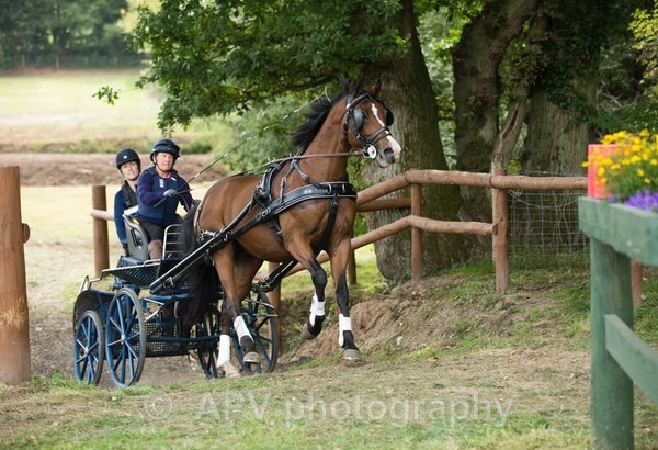 A43A4721 - Sylv & Dougie Days Out.