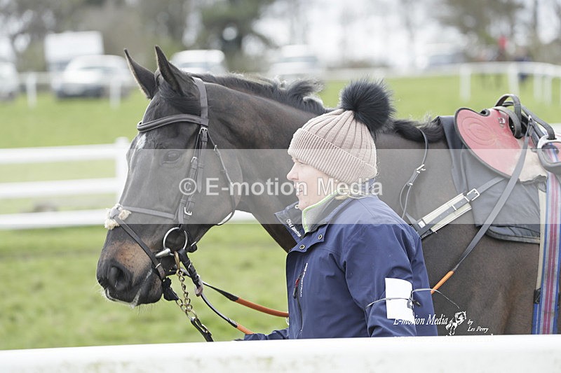 PtP 260323 0430 - New Forest Hounds Point-to-Point Larkhill 26/03/23
