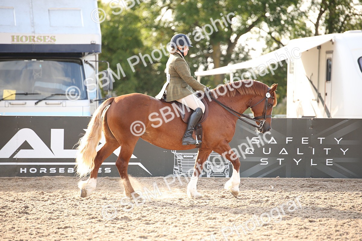 SBM_09183 - Regional Ridden Champ