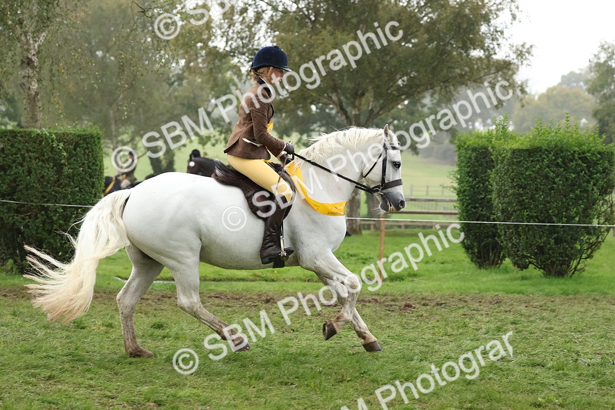 SBM_73128 - Ridden Pony Supreme Championship