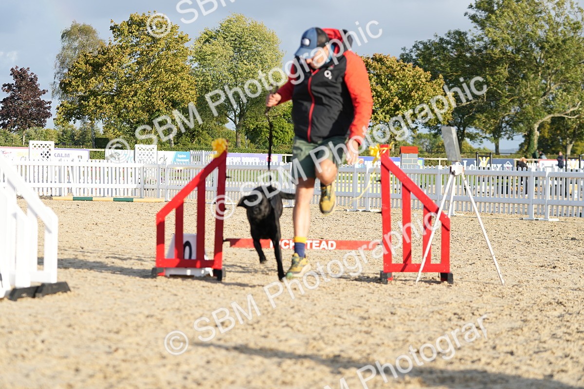 SBM_29368 - J44 - Horse & Hound Open 70cm