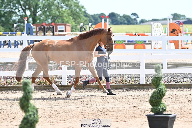 240717A-145956-02419 - Trot Up 2pm to 3pm - This folder is not in time order