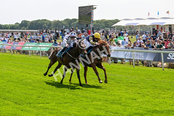 130625-Race 2-Carnation Queen-8645 - Race 2 2.25pm Coopers Marquees Rous Selling Stakes