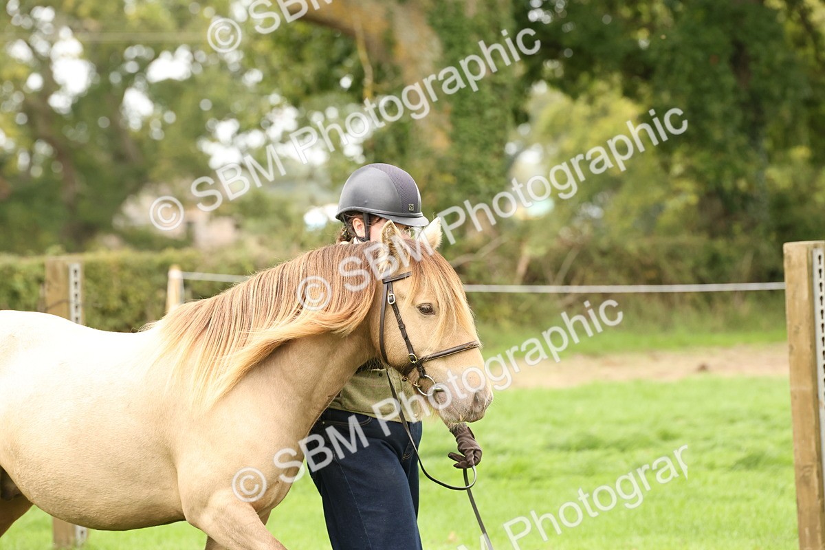 SBM_59207 - S57 - Traditional Cob In Hand