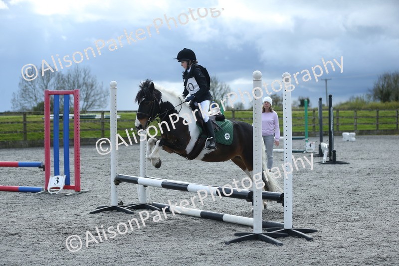 20260412-1827 - Show Jumping