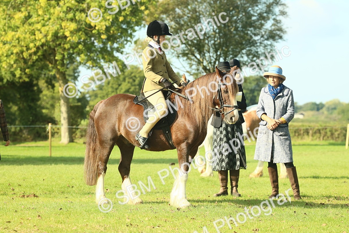 SBM_59895 - S38 - Starters Ridden Showing