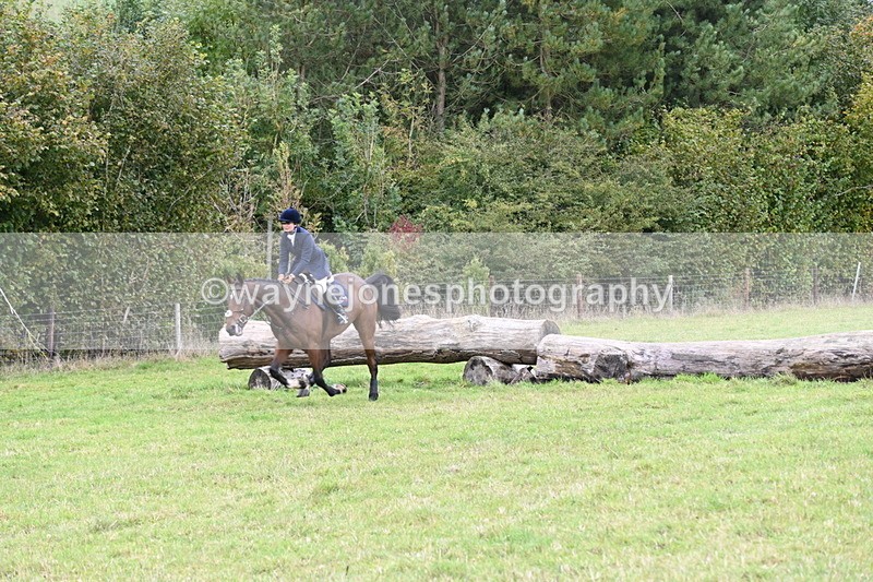 WJ6_0404 - Camera 2 Line 1