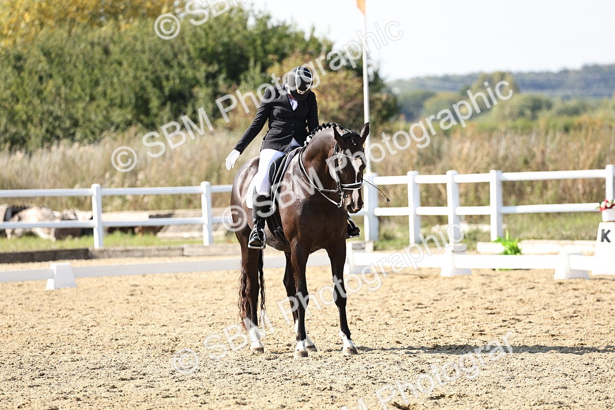 SBM_015347 - Class 9 - Advanced medium 3