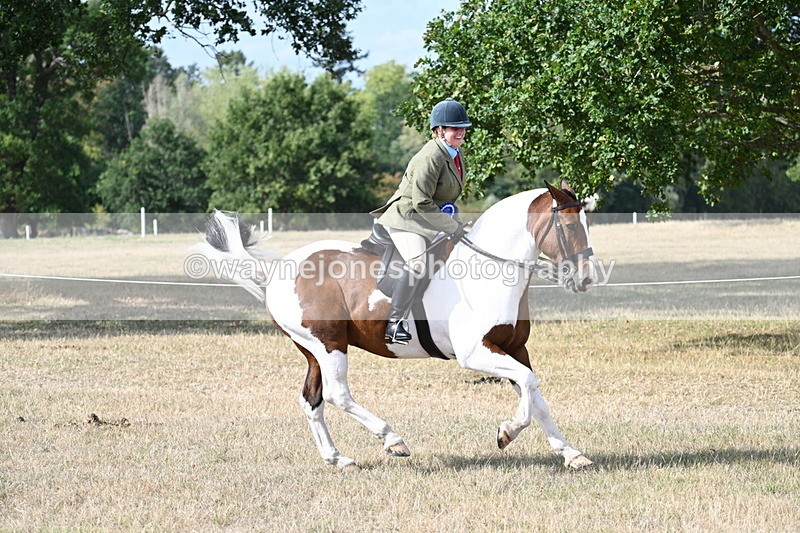 WJ7_7514 - Class 14 Ridden Coloured