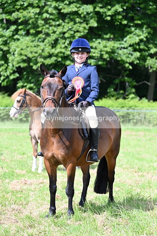 WJ7_0883 - Class 8 First Rally Pony