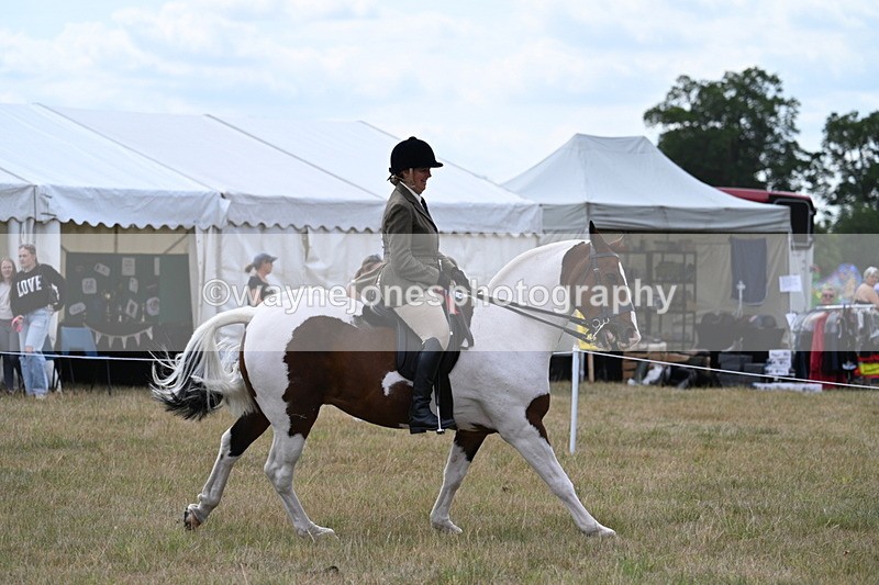 WJ7_5645 - Class 12 Ridden Cob