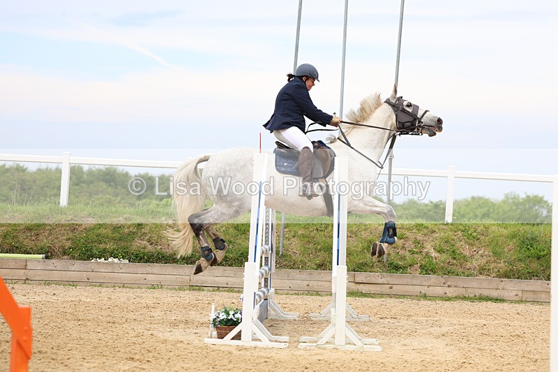 3E7A8546 - Class 4: Senior British Novice/90cm open