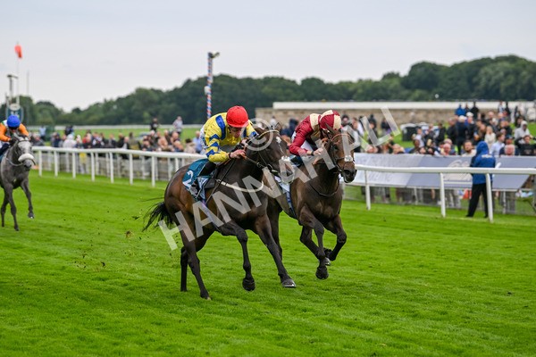 120724-Race 4-Karmology-6142 - Race 4 3.50pm Azets Handicap