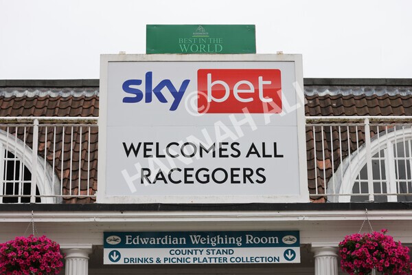 yr22072022r7-3 - Race 7 8.25pm The Sky Bet Go-Racing-In-Yorkshire Summer Festival Stakes