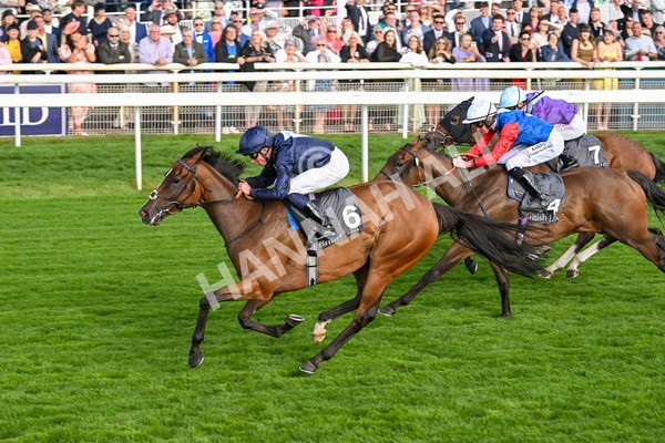 210825-Race 7-Royal Velvet-5659 - Race 7 5.20pm British EBF Fillies' Handicap