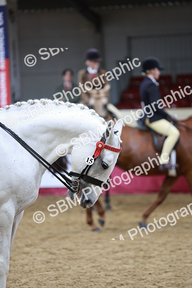 SBM_03467 - Class 6A Area Ridden Pre-Vet