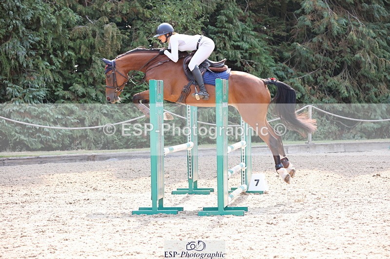 250816A-105613-00905 - Cls 3 Snr British Novice