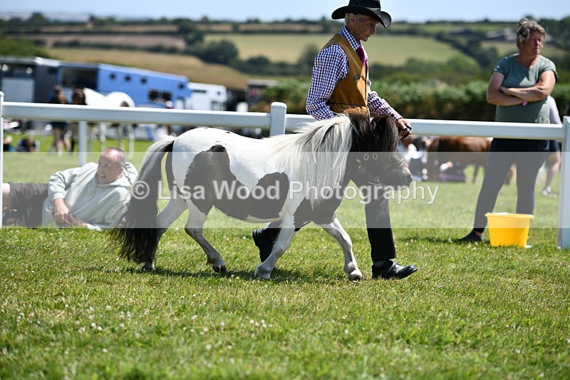 DSC_7575 - Class 64: Coloured Pony 4yrs & over