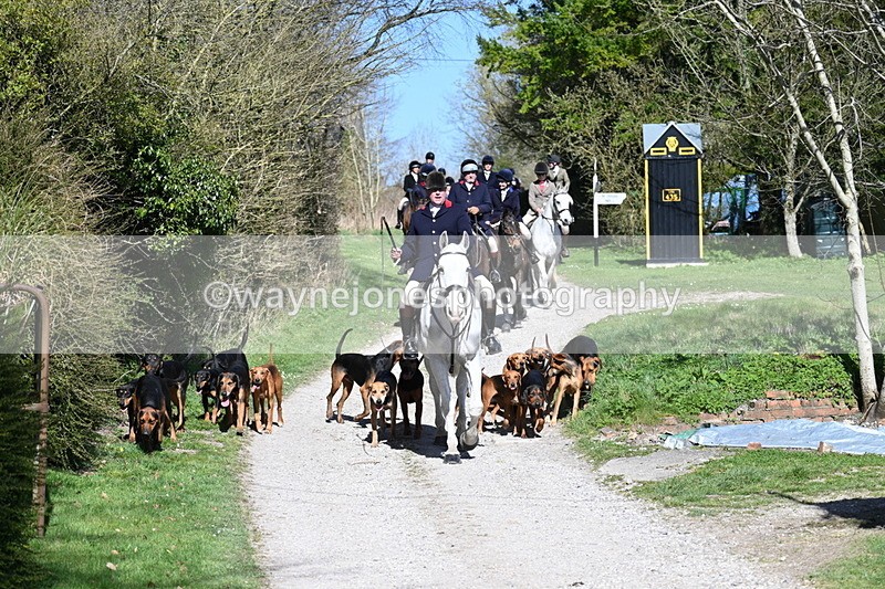 WJ7_9656 - Home for hunt tea !