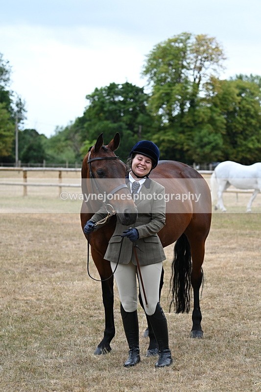 WJ7_9107 - Class 4a Prettiest Mare 14.2hh and over