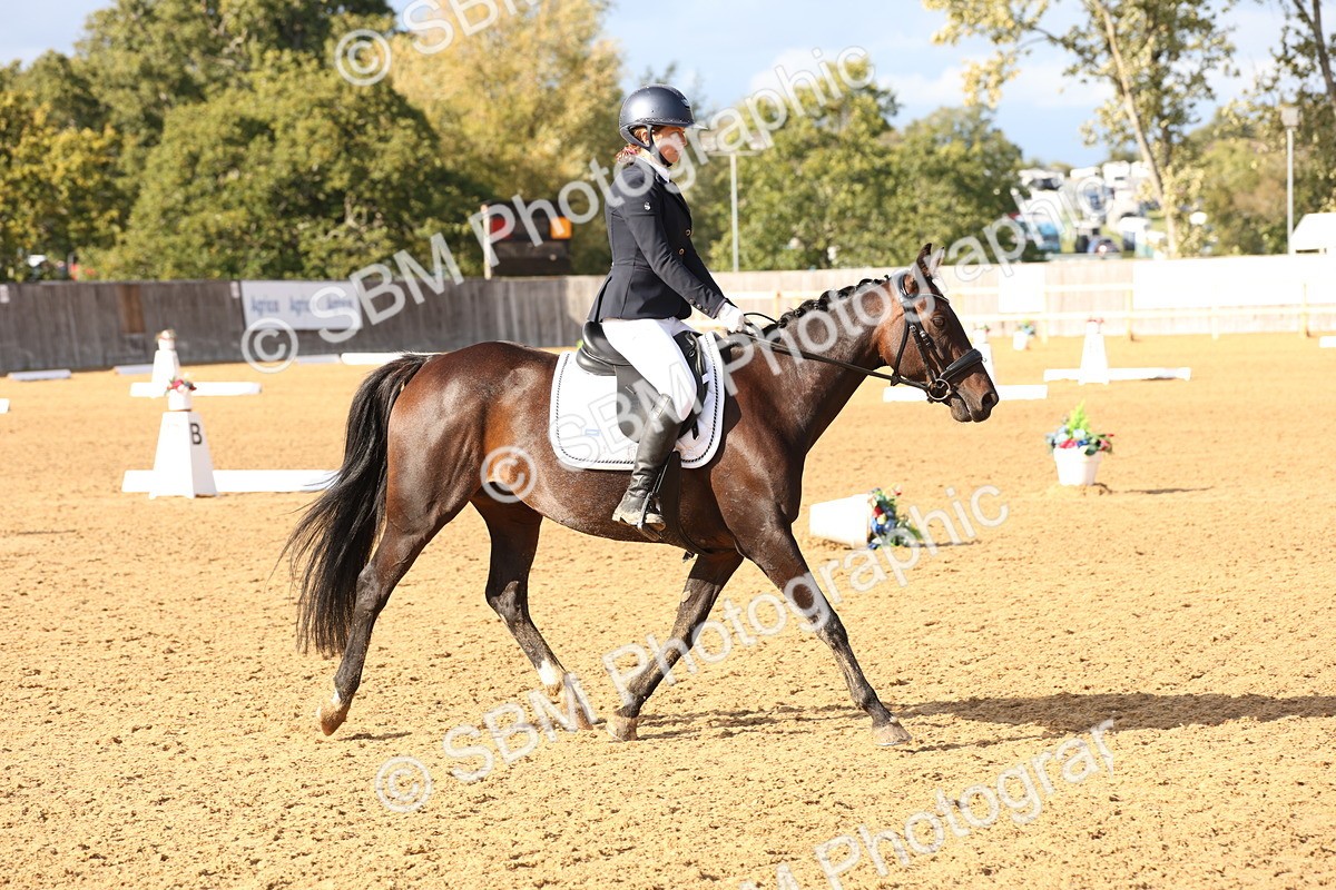 SBM_50484 - D12 - Small Tour Championship prelim 2