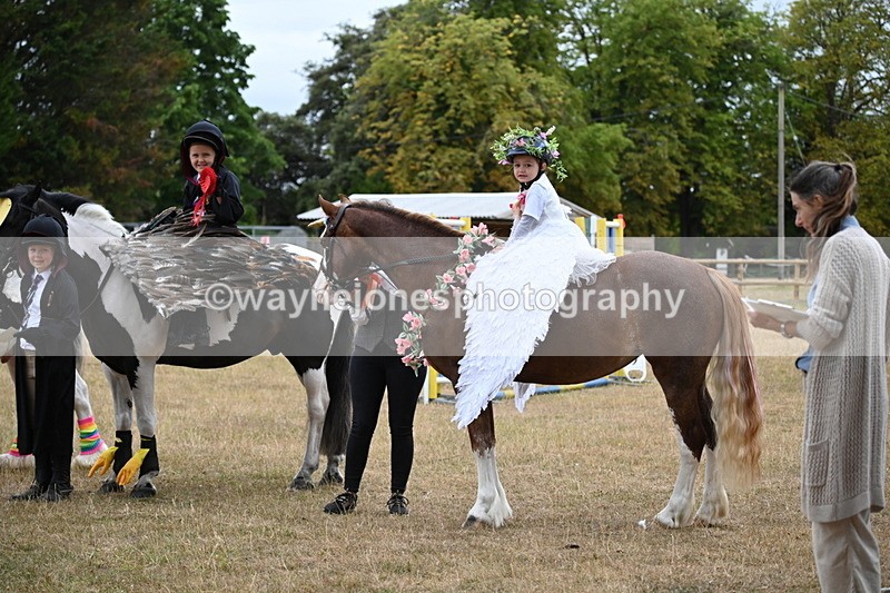 WJ6_9222 - Class 11 Fancy Dress