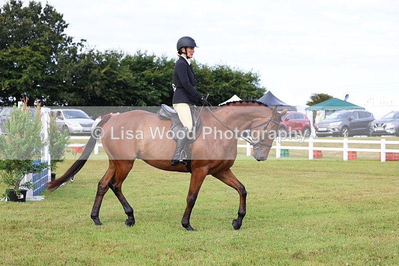 3E7A8130 - Class 2: Rising Star Large Hack/Riding Horse