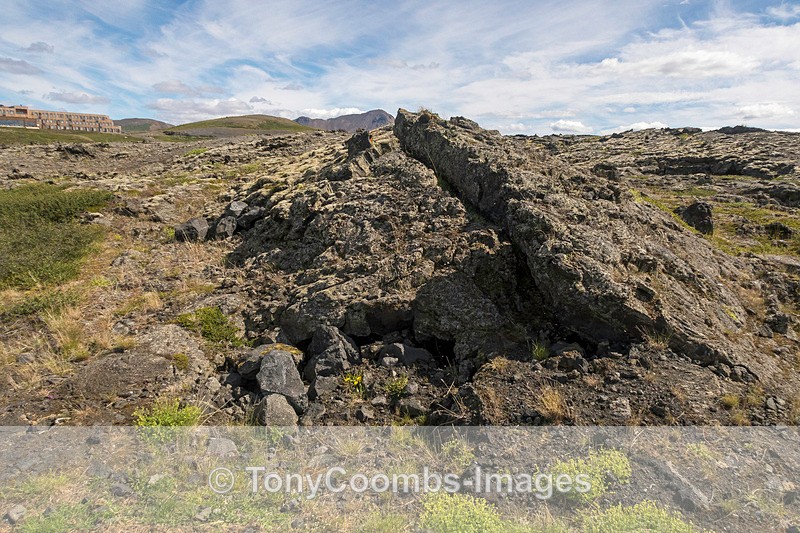 Old Lava Field - Iceland