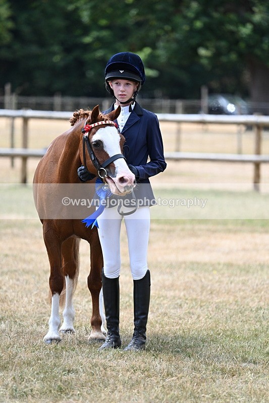 WJ7_2092 - Prettiest Mare Champs