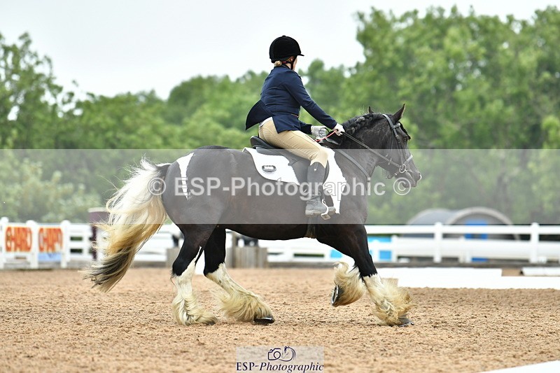 230708A-105155-02429 - Prelim 13