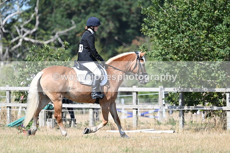 WJ7_0265 - Time 11:33 to 11:44