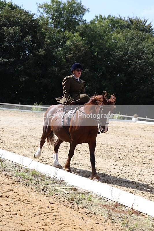 3E7A3581 - Class 7:  Preliminary Music